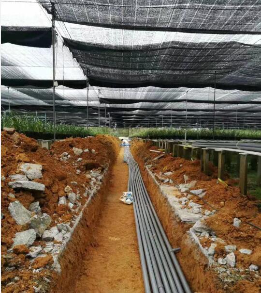 �Ļ��m�����ع���